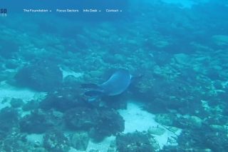 thalassa foundation